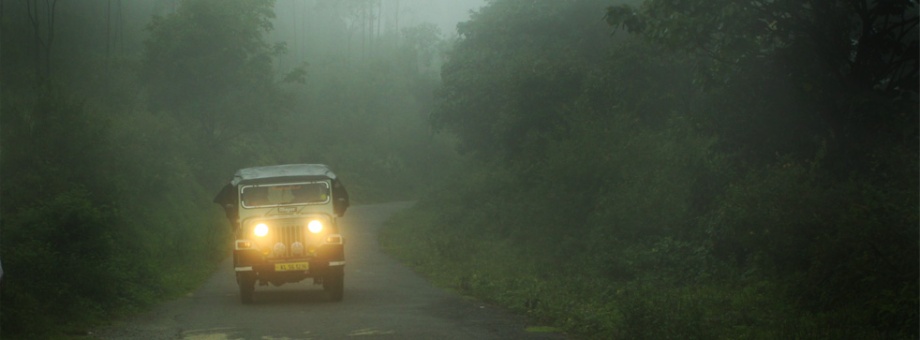 thekkady kerala tour packages from delhi